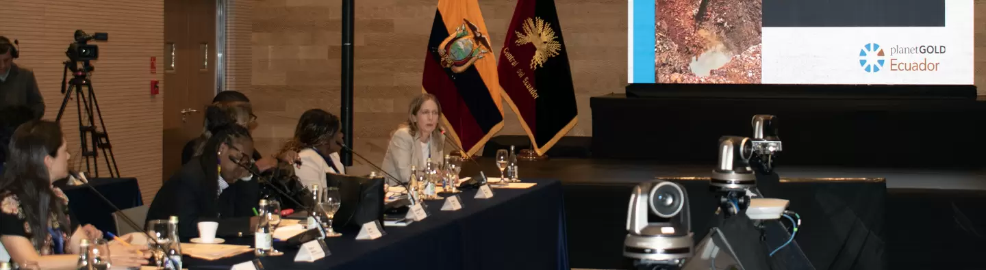 Ecuador comparte su experiencia en minería artesanal libre de mercurio ante líderes financieros globales