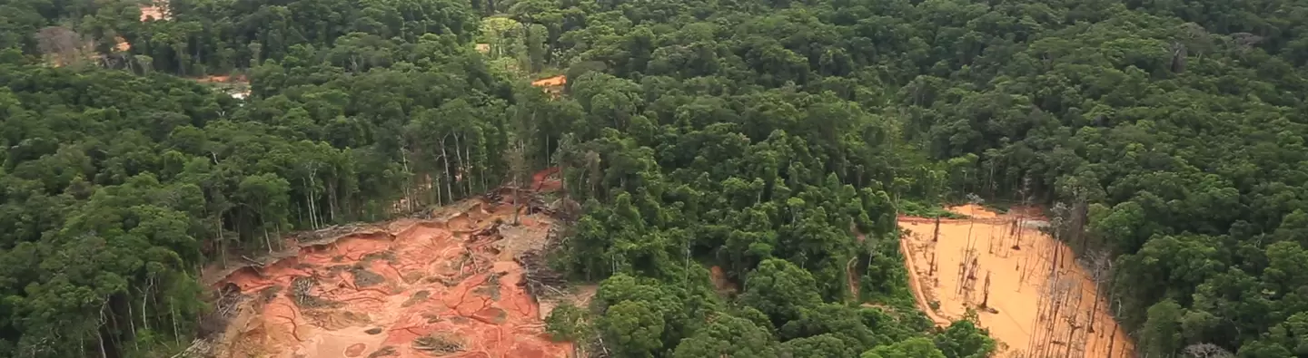 Partially mined out land in Guyana