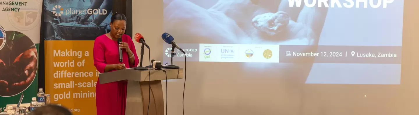 Woman speaking at podium