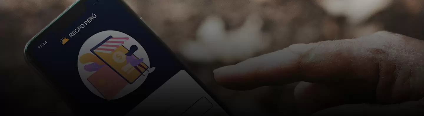 RECPO Online interface on cell phone