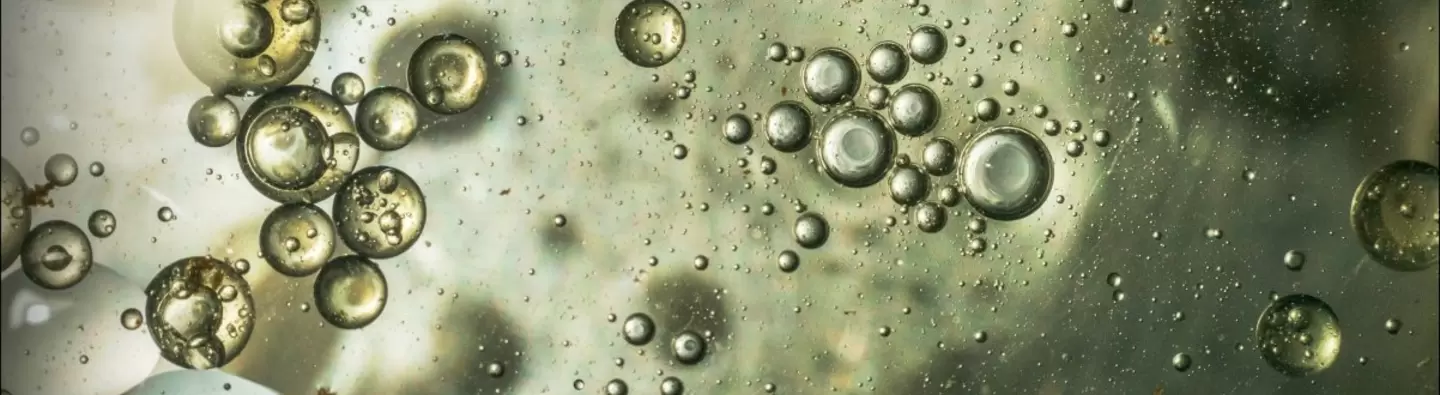 A green surface with small bubles