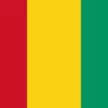 Guinea flag