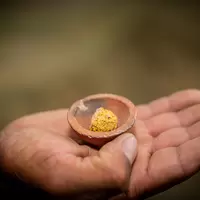 Sponge gold