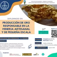 Lanzamiento del diplomado oro responsable