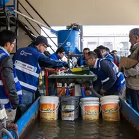 Pasantia Piura Puno 2023 DREM 4