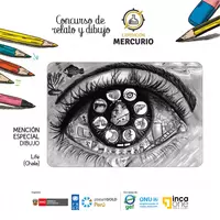 ganadores concurso expedicion mercurio 5