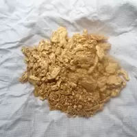 congo gold