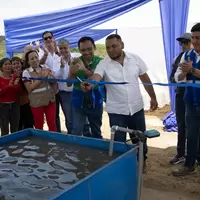 Piura_planta_5