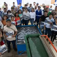 Piura_planta_2