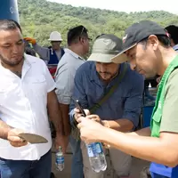 Piura_planta_10