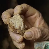 Broza de oro de Quimistán, Santa Bárbara