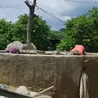 Mujeres limpiando molienda artesanal