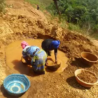 guinea 6