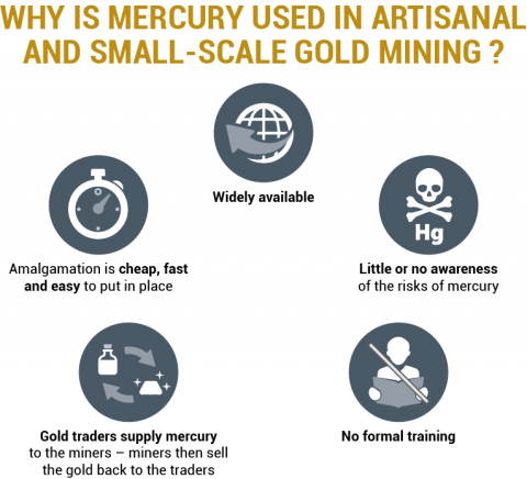 pourquoi le mercure