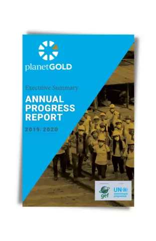 2019 2020 planetGOLD annual report executive summary cover