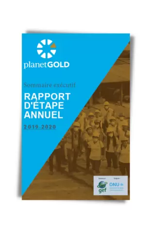 planetGOLD 2019 2020 Annual Progress Report Executive Summary - FRENCH cover image