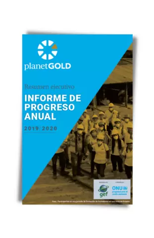 2019 2020 report executive summary cover Spanish