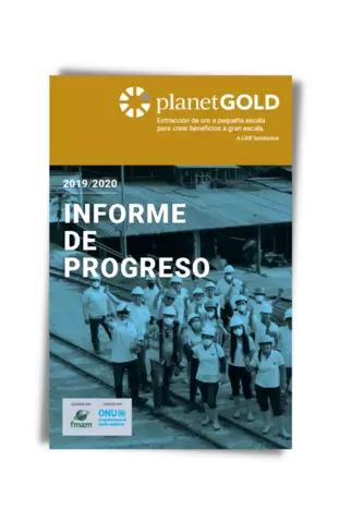 Cover image - 2019 2020 progress report Spanish