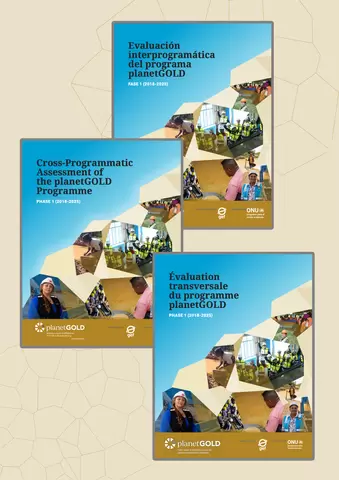 Cover images of report