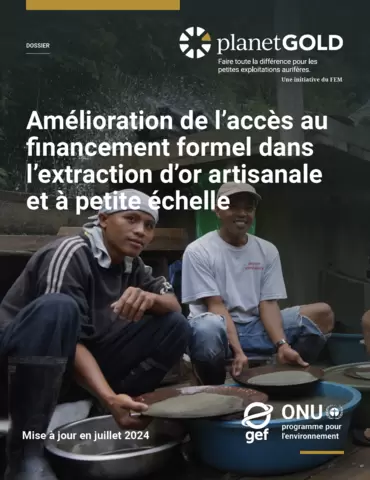 Finance issue brief cover image French