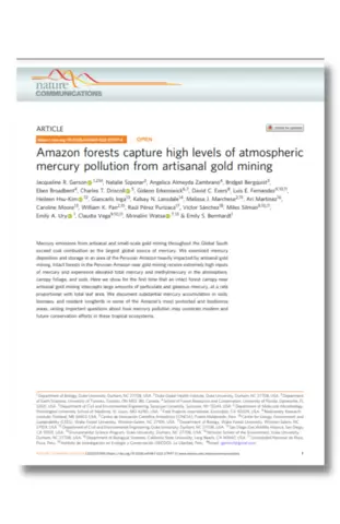 Amazon forests capture high levels of atmospheric mercury pollution from artisanal gold mining