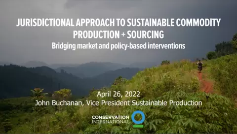 John Buchanan CI presentation deck - jurisdictional approaches