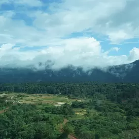 Guyana pg image