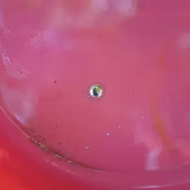 Mercury in basin
