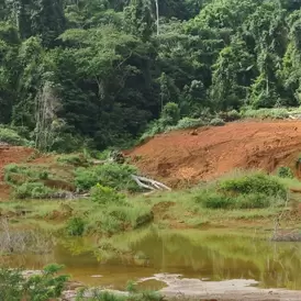 Guyana tailings 