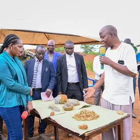 Uganda gold residue rocks display