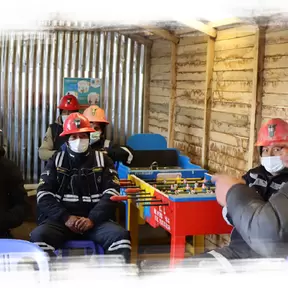 Dia_Educación_Ambiental