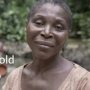 Screenshot of IMPACT video