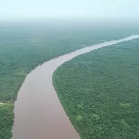 g1