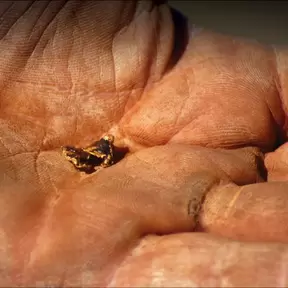 A small gold nugget in a hand palm