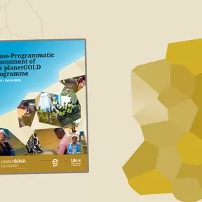Cross program report image