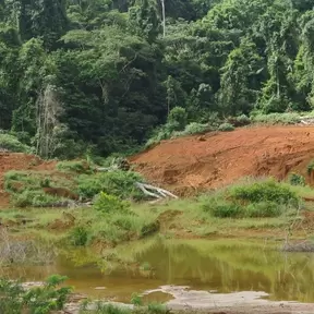 Guyana tailings 