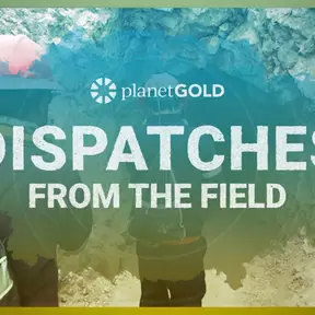 Dispatches from the Field cover image