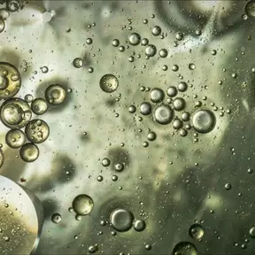 A green surface with small bubles