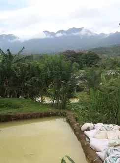 tailings Indo