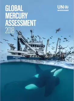 Global Mercury Assessment