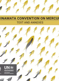 Minamata Convention on Mercury