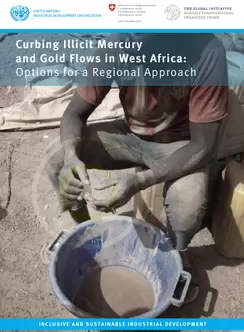 UNIDO illicit flow
