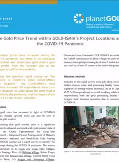 Indonesia project COVID-19 gold price fact sheet cover