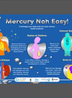 Mercury Nah Easy poster image