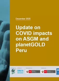 Cover image for planetGOLD Peru December 2020 COVID-19 update