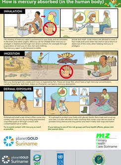 How does mercury enter the human body 