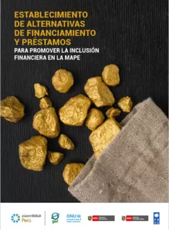 Alternativas de financiamiento MAPE