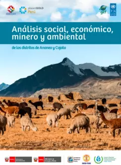 Estudio_Puno