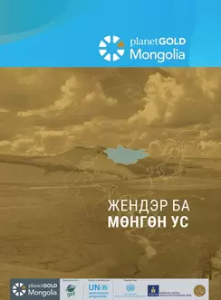 Gender mapping report cover