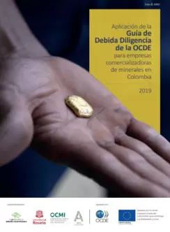 Aplicación de la Guía de la Debida Diligencia de la OCDE